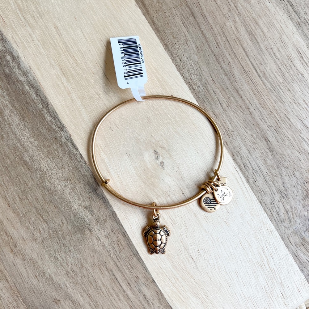 Alex and Ani Bracelet